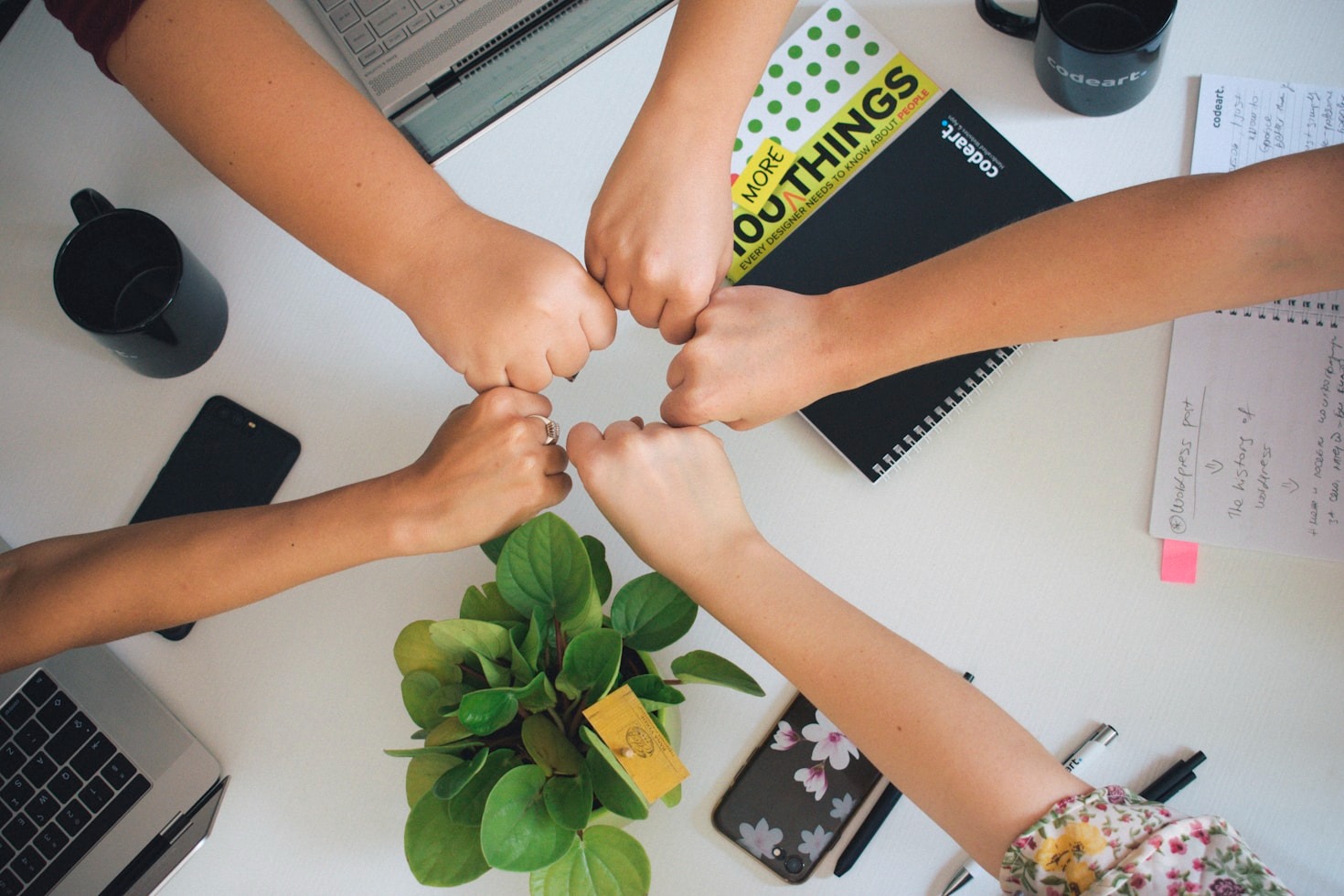 L’importance de la collaboration entre associations
